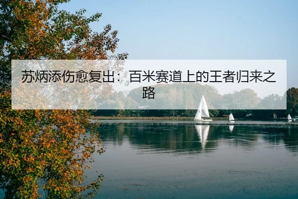 su-bing-tian-shang-yu-fu-chu-bai-mi-sai-dao-shang-de-wang-zhe-gui-lai-zhi-lu-3-134.jpg