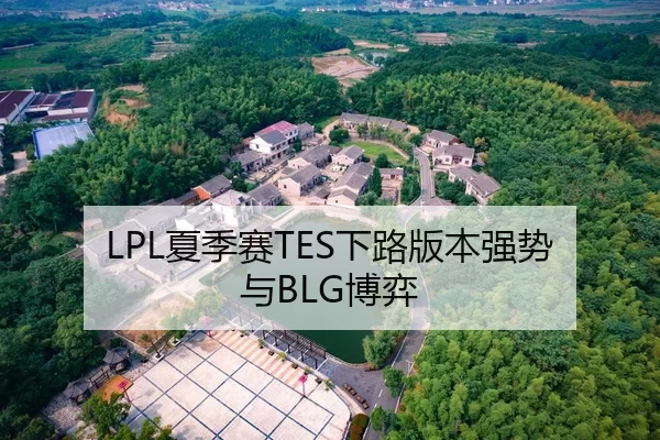 LPL夏季赛TES下路版本强势与BLG博弈
