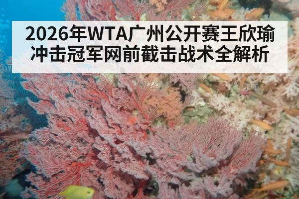 2026年WTA广州公开赛王欣瑜冲击冠军网前截击战术全解析
